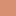 img-camel-print.jpg